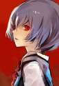 Ayanami.Rei.600.1335353.jpg