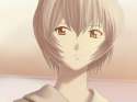 Ayanami.Rei.600.998035.jpg
