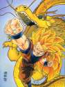 goku_ssj3___dragon_fist__by_drikafujimoto.jpg