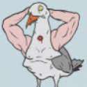 SwagDuck.jpg