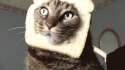 WTF1.gif