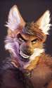 1416632814.skiaskai_test.png
