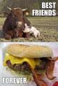 Best friends forever.jpg