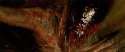 159076390_41d96c.gif