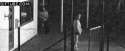 1353904166875.gif