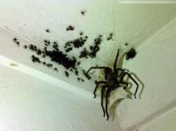 hell_nope_not_24.jpg