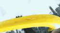 image.gif