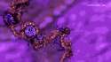 dna coiling.gif
