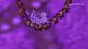 dna.gif