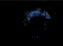 1234233.gif