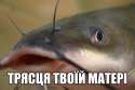Трясця твоеї матері.jpg
