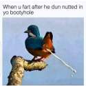 FB_IMG_1461964481945.jpg