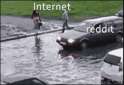 1416032162724.gif