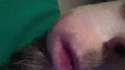 20160503_024953.jpg