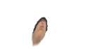 long_boi.jpg