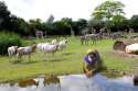 1461768199808__01_001__zoo_.png