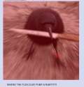 where is it.png