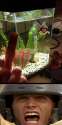 Giving+the+middle+finger+to+a+fish_5675eb_5233797.jpg