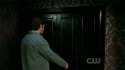 gif03.gif