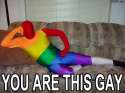you-are-this-gay-rainbow-suit.jpg