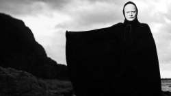 bergman.jpg