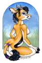 16_1200194289.xianjaguar_tommi.jpg