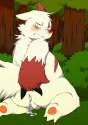 Zangoose38.jpg