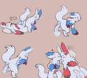 Zangoose16c.png