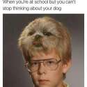 1462332718380.jpg