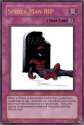 no spidy.jpg