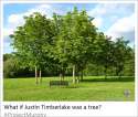 ^097F58597E2BC98DEAD71E977EC85F7EF5ED709B5921E10E7E^pimgpsh_fullsize_distr.jpg
