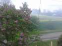 20160504_112457.jpg