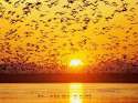 SUnset.jpg