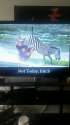 ^9ABF751F20ABFADE2AC2F7D1079C33983ABF55365864C6647D^pimgpsh_mobile_save_distr.jpg