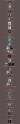 g.png