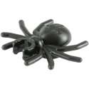 spiderbro.jpg