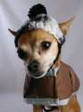 doggo hatimus (195).jpg