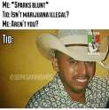 12804293_1035545603151452_18021463_n.jpg