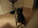IMG_20160504_202133.jpg