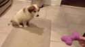 1462409271295.gif