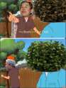 bush.jpg