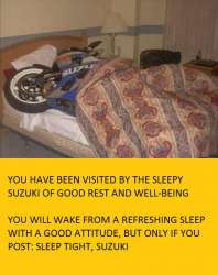 sleeptightsuzuki.jpg