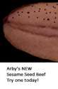 Arby's Sesame Beef.jpg