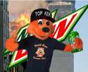 cool cat.jpg