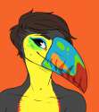 1454275842.fivel_toucanlisa.png