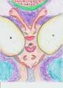 Pee's and Carrots 001.jpg