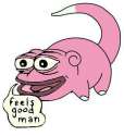 Slowpoke Pepe.jpg