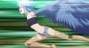 speedybird.jpg