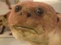 emotionsintensify.jpg