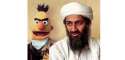 Evil-Bert-Bin-Laden1.jpg